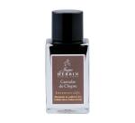 Encre 1670 à paillettes dorées 15ml - Caroube de Chypre