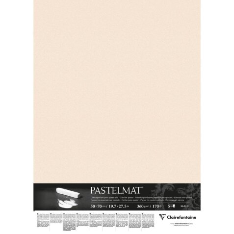 Pastelmat paquet 5F 50x70cm 360g - Beige