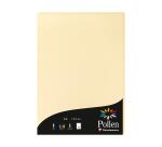 Etui de 50 feuilles Pollen 210x297mm 120g/m2