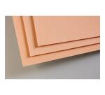 PastelGrain paquet 5F 50x70cm 360g - Sienne