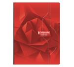 Zachte gebonden schrift met ruglinnen 7000 24x32 cm 288 pagina's grote ruiten 70 g - Assorti