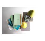 Rhodiarama carnet souple A5 160 pages ligné papier ivoire 90g fermeture élastique - Eau