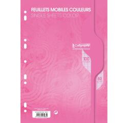 Feuillets mobiles sous film 7000 A4 100 pages perforées grands carreaux 80 g