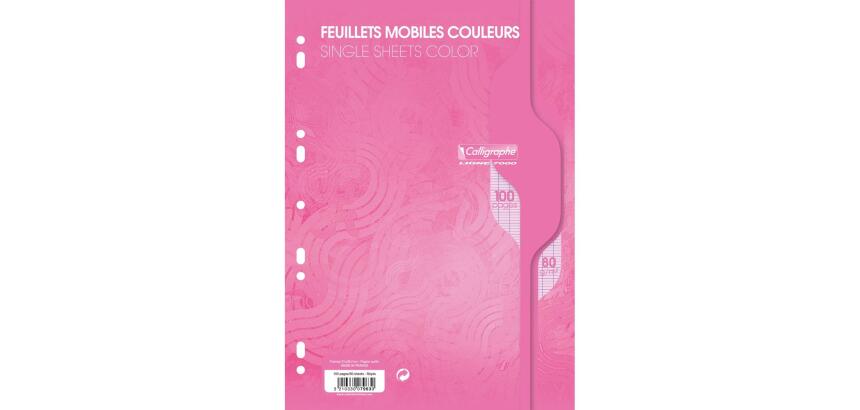 Feuillets mobiles sous film 7000 A4 100 pages perforées grands carreaux 80 g