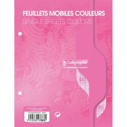 Feuillets mobiles sous film 7000 17x22 cm 100 pages perforées 2 trous grands carreaux 80 g