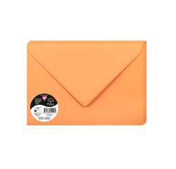 Paquet de 20 enveloppes Pollen 162x229mm 120g/m²