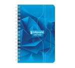 Carnet reliure intégrale 7000 9x14 cm 100 pages petits carreaux 70 g - Assortis