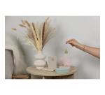 Inspire, Petite boîte rectangulaire, Toile du Marais, 9,5x6,5x3 cm