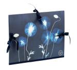 Cyanotype, Carton à dessin 28x38cm, fermeture avec 3 rubans