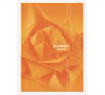 Cahier brochure rembordée rigide 7000 A4 192 pages petits carreaux 70 g - Assortis