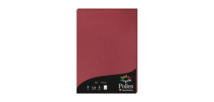 Etui de 50 feuilles Pollen 210x297mm 120g/m2