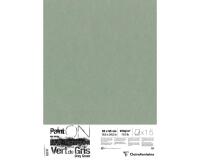 PaintON Vert de Gris paquet 15F 50x65cm 250g - Vert de gris