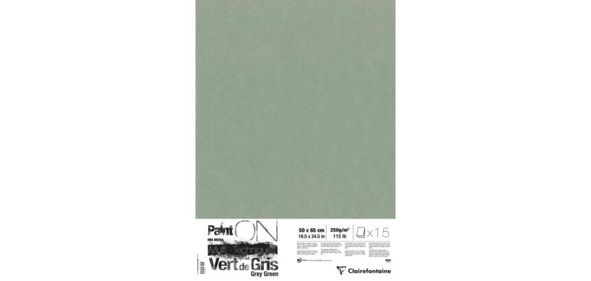 PaintON Vert de Gris paquet 15F 50x65cm 250g - Vert de gris