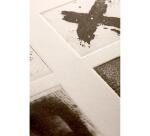 Salland paquet bords frangés 10F 76x112cm 300g