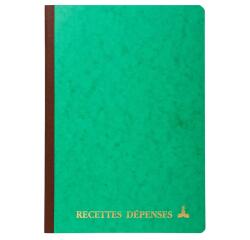 Piqûre 297X210 Recettes-dépenses 80 pages - Couleurs assorties