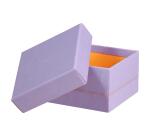 Rhodiarama set 5 boîtes gigognes simili cuir italien 44x34x16 cm - Iris