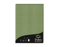 Etui de 50 feuilles Pollen 210x297 120g/m2 - Vert sauge