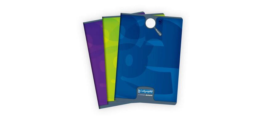 Cahier piqué 8000 CARTE A4 96 pages petits carreaux 90 g - Assortis