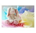 PAPIER DE SOIE, Sachet de 8 feuilles pliées 18g/m2 au format 50x75cm