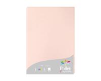 Etui de 25 feuilles Pollen 210x297mm 210g/m2 - Opaline