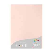 Feuille Pollen 210 x 297 mm 210 g/m2 opaline - Etui de 25