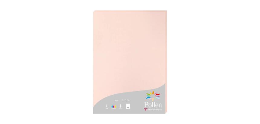 Etui de 25 feuilles Pollen 210x297mm 210g/m2 - Opaline