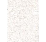 Mini-kit adulte lune - Kraft