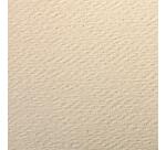 Etival Color paquet 25F A3 160g - Citronnelle