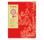 Cahier piqué FOREVER 24x32 cm 96 pages grands carreaux 70 g - Assortis