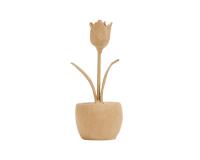 Tulipe en pot