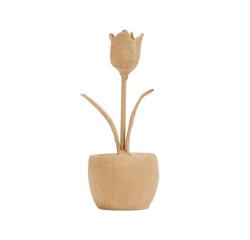 Tulipe en pot - Kraft