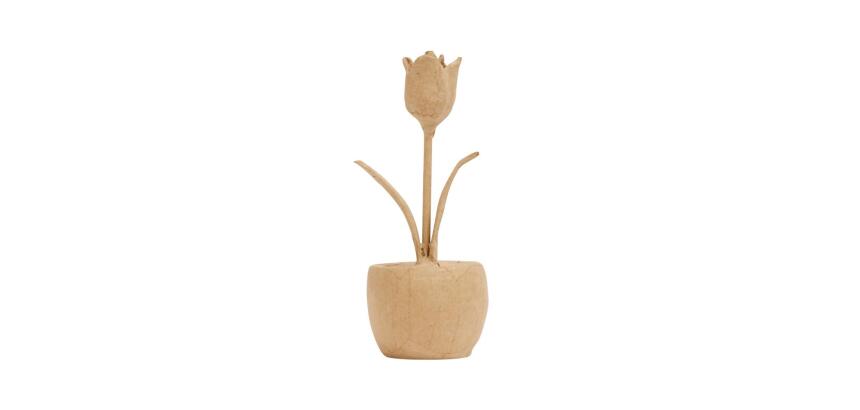 Tulipe en pot - Kraft
