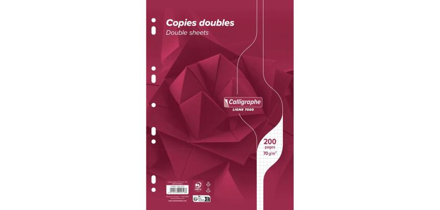 Copies doubles 7000 sous film A4 200 pages perforées petits carreaux 70 g