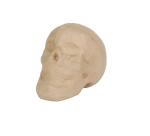 Crâne 12cm - Kraft