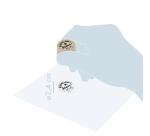 Collection Maîtresse, tampon appréciations textes - Marron