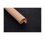 Kraft brut 70g, 3x0,70m prés. de 60rlx - Kraft