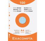 Étui de 100 fiches - bristol quadrillé 5x5 perforé 210x297mm - Couleurs assorties