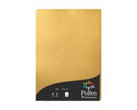 Etui de 50 feuilles Pollen 210x297mm 120g/m2