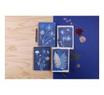 Cyanotype, Carnet reliure intégrale A5 14,8x21cm, 148 pages, ligné, ass.