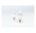 DARWI Seau de 3 kg de plâtre de moulage blanc