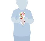 Friends to Paint, Simone la Licorne - Multicolore