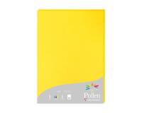 Etui de 25 feuilles Pollen 210x297 210g/m2 - jaune soleil