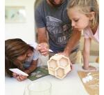 Boîte créative, Hôtel à insectes à construire - Bois