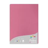 Etui de 50 feuilles Pollen 210x297mm 160g/m2