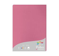 Etui de 50 feuilles Pollen 210x297mm 160g/m2