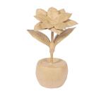 Poinsettia en pot 12x10x18,5 cm - Kraft
