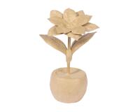 Poinsettia en pot 12x10x18,5 cm - Kraft