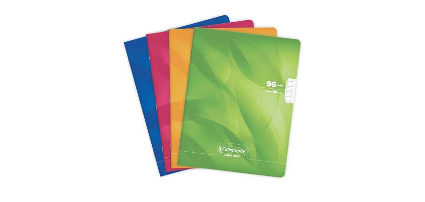 Cahier piqué 8000 CARTE 17x22 cm 96 pages grands carreaux 90 g - Assortis