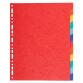 Div Forever Divider A4+ 220g 12P Vivid - Assorted colours