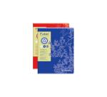 Cahier piqué FOREVER 24x32 cm 96 pages grands carreaux 70 g - Assortis